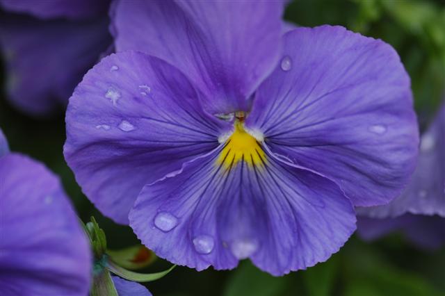 dsc_0053 (small).jpg