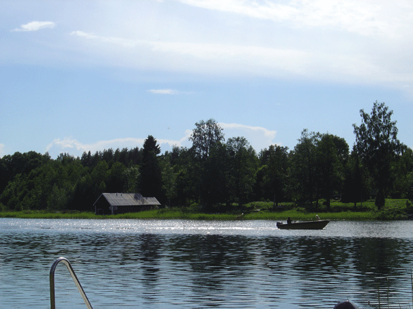 dsc01175lite.gif