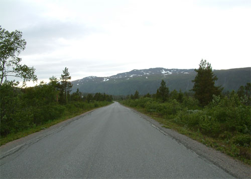 wf_005.jpg