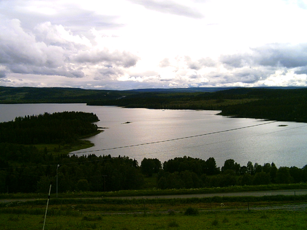 wf010.jpg