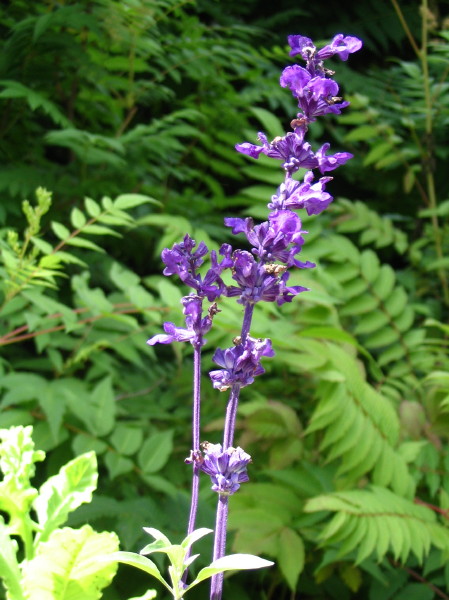 img0027.jpg
