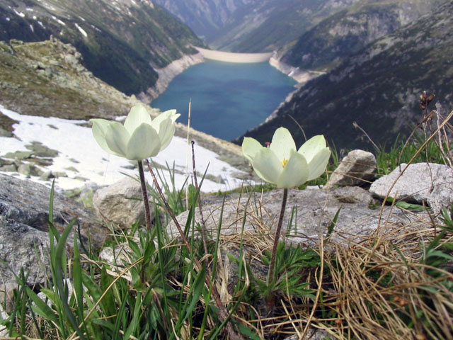 wf-a72.jpg