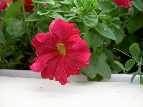 pict0053.jpg