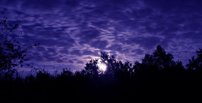 img_0841_edit.jpg