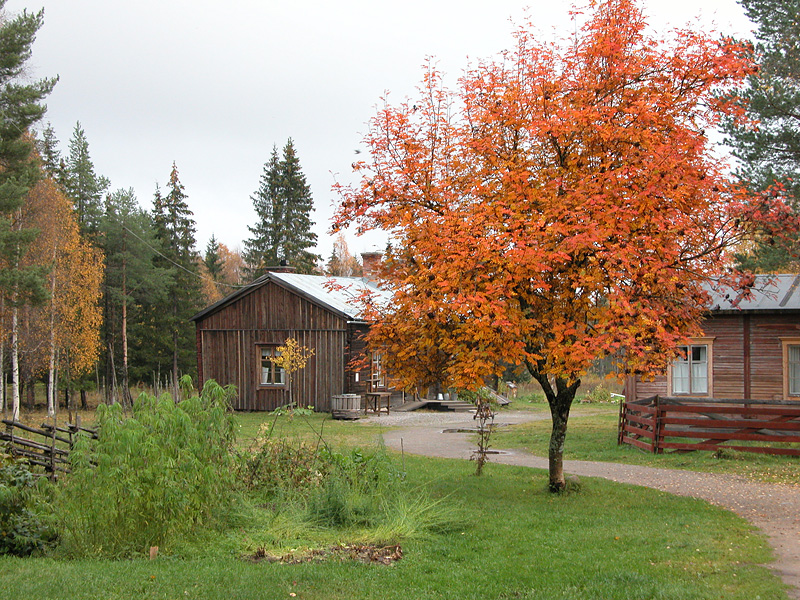 dscn5498.jpg