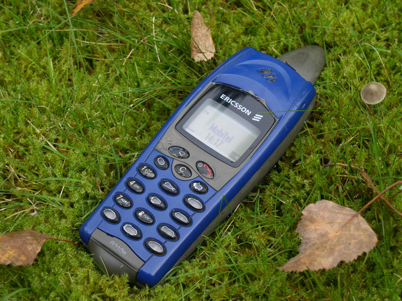 r310.jpg