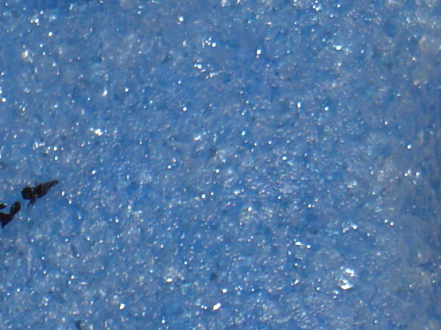 dsc00225.jpg
