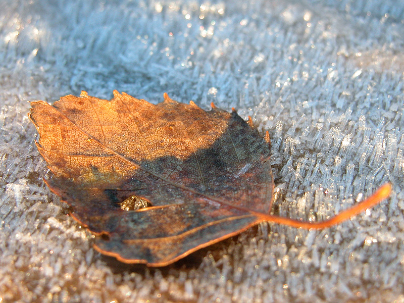 dscn5537.jpg