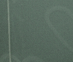 dsc00338_makro.jpg