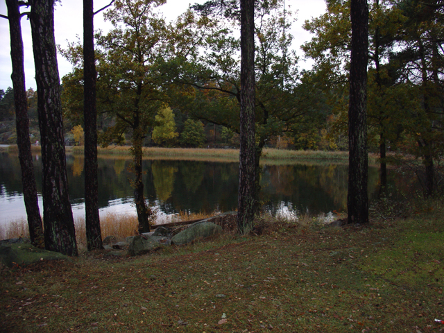 dsc00346_640.jpg