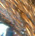 dscf0064.jpg
