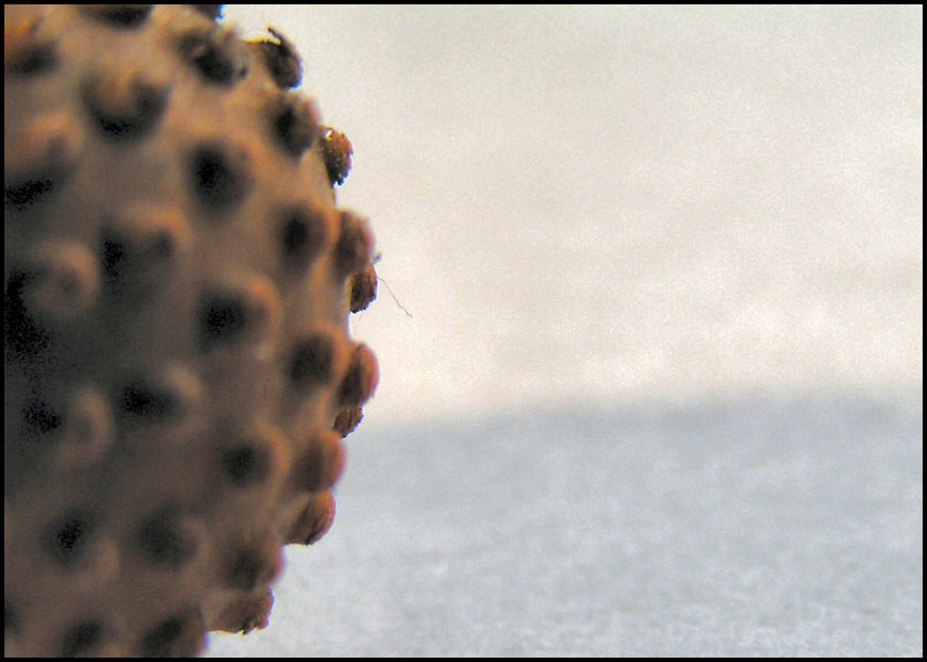 guess2.jpg