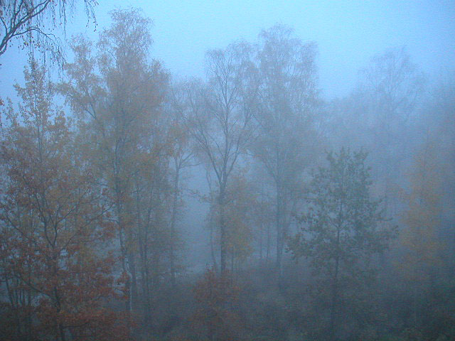 0410242.jpg