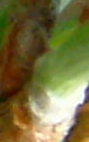 dscf0072.jpg