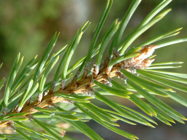 dscf0072.jpg