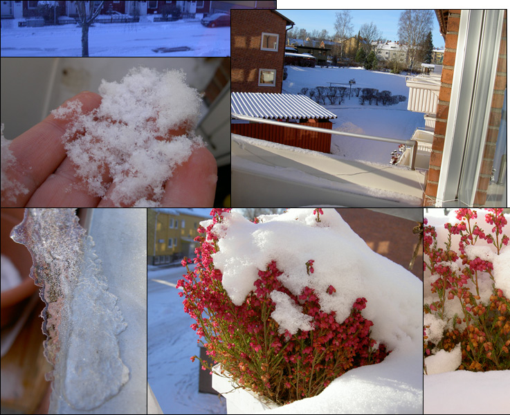 vinter.jpg