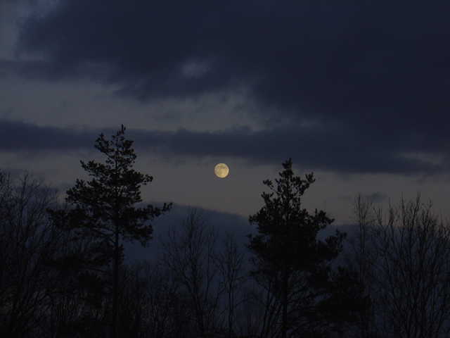 dsc01274_640.jpg