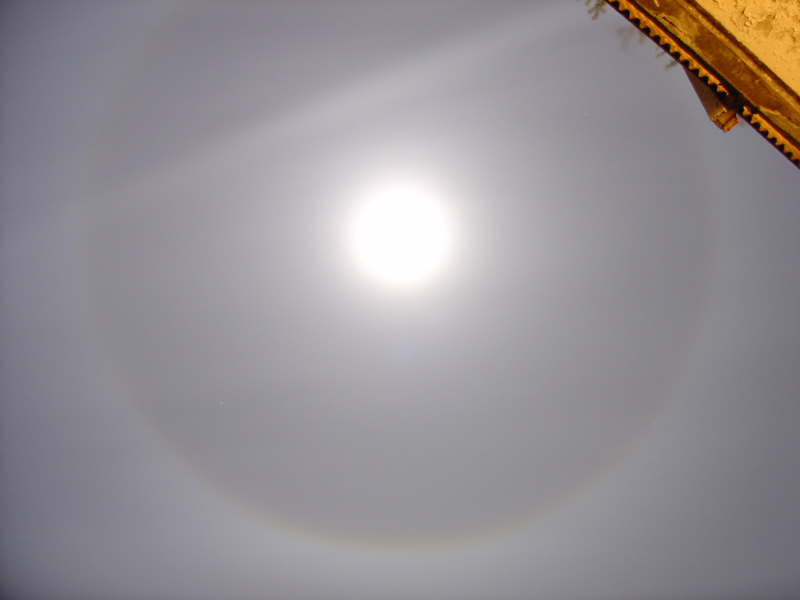 dsc01300_800.jpg