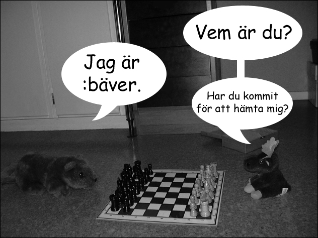 kolonalg.jpg