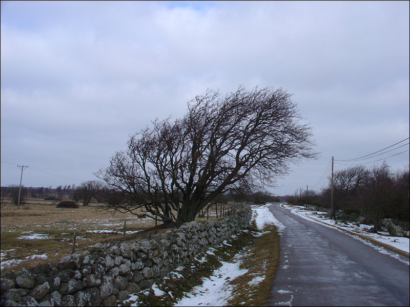 dsc02147_800.jpg