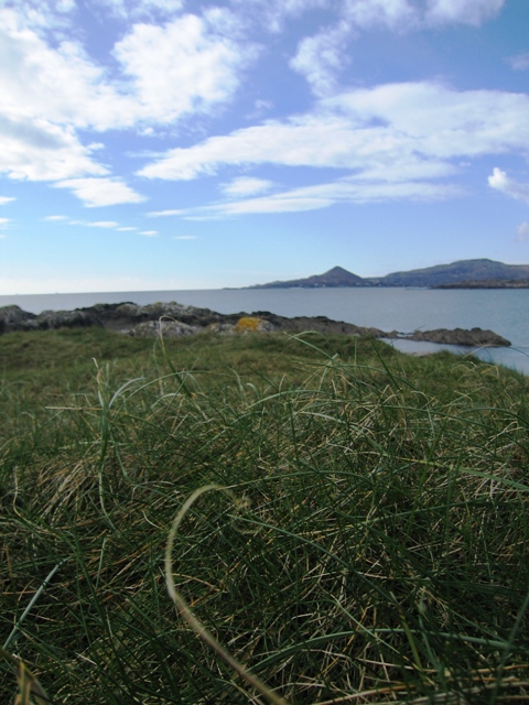 irlandskust.jpg