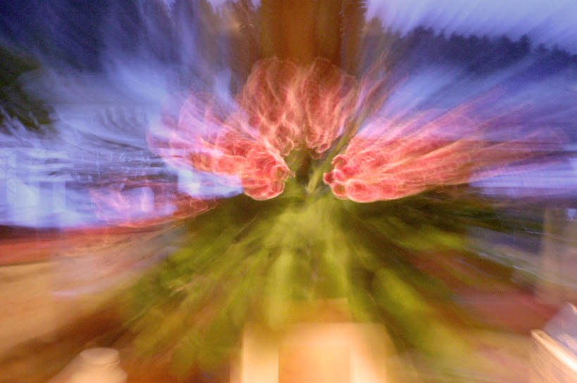blommzoom.jpg
