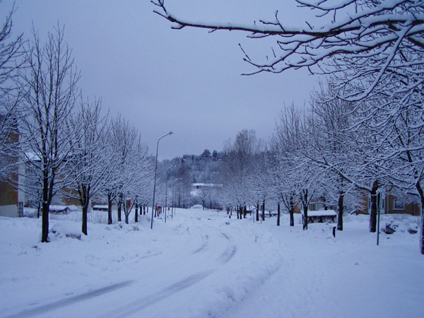 god morgon borås.jpg