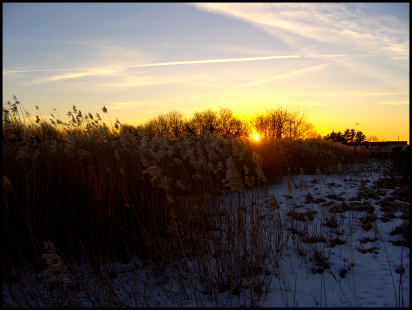 sunset_field.jpg