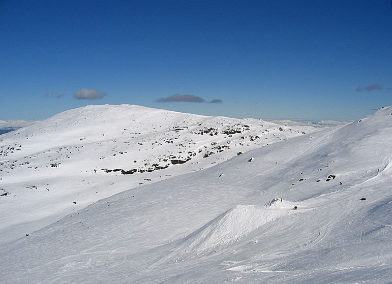 20050417_hopp.jpg