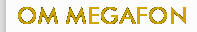 ie.jpg