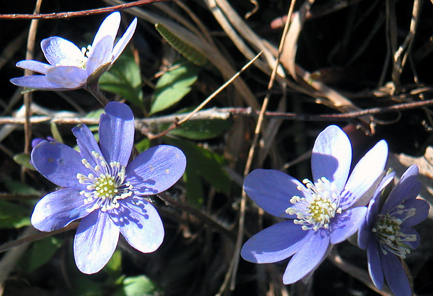 050508.jpg