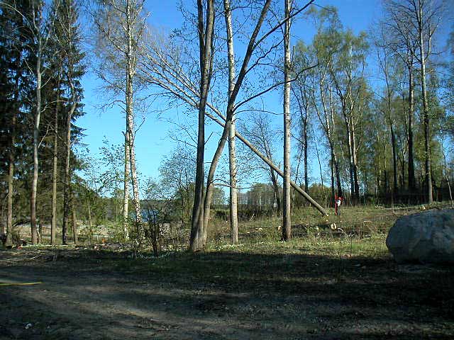 0505141730.jpg