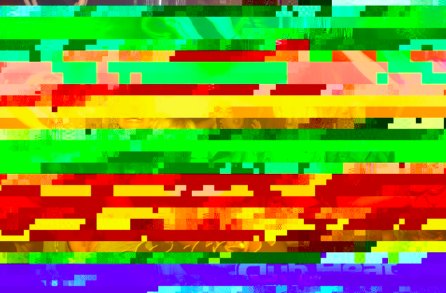 bild.png
