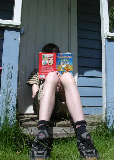 sommarlov.jpg