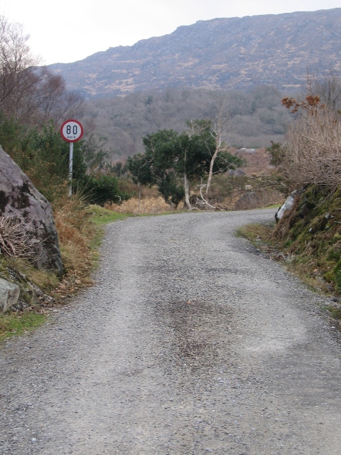 irland80.jpg