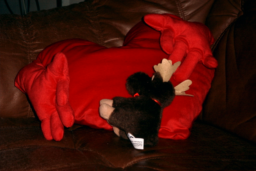 pict0003.jpg
