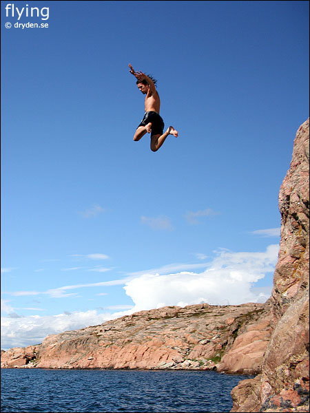 wf_flying.jpg