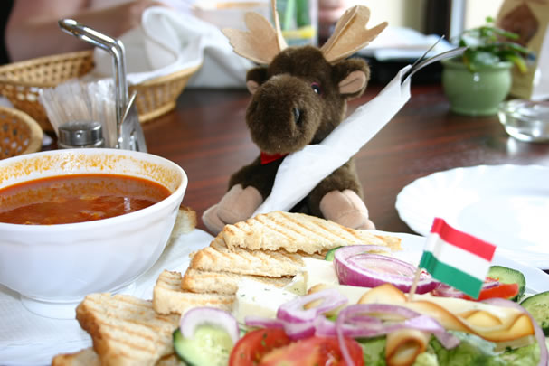gulash_ar_ett_maste.jpg
