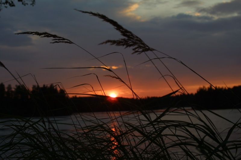 solnedgang.jpg