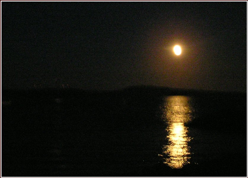 moonlightx.jpg