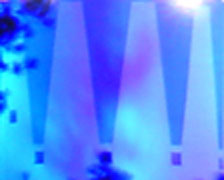 DSC05732_what.jpg