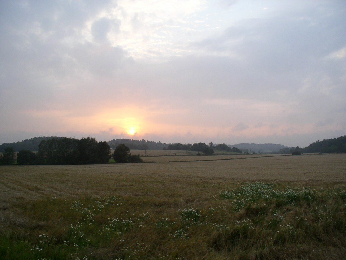P9070001.JPG