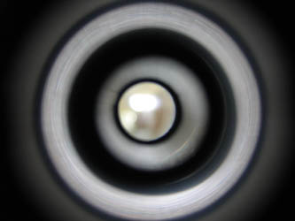 wf_macro2.jpg