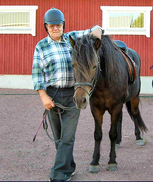 horse1.jpg