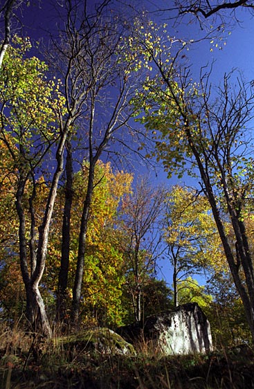reala_20051005_036.jpg