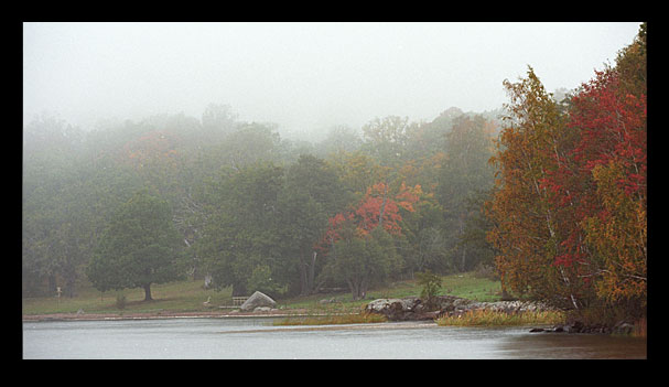 reala_20051005_005.jpg