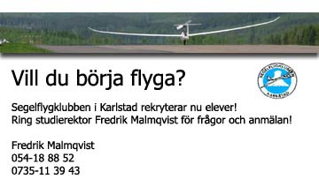 borja_flyga.jpg