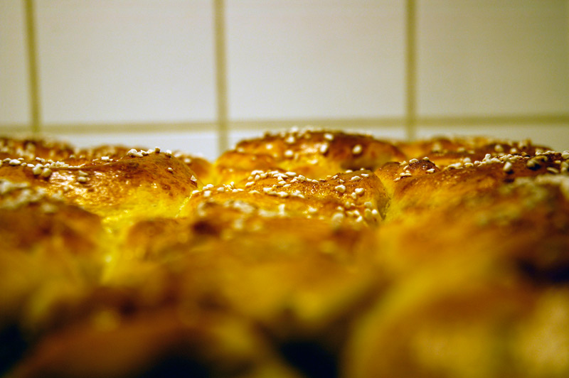 bullar.jpg