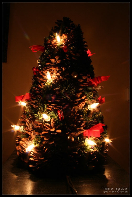 julgran.jpg