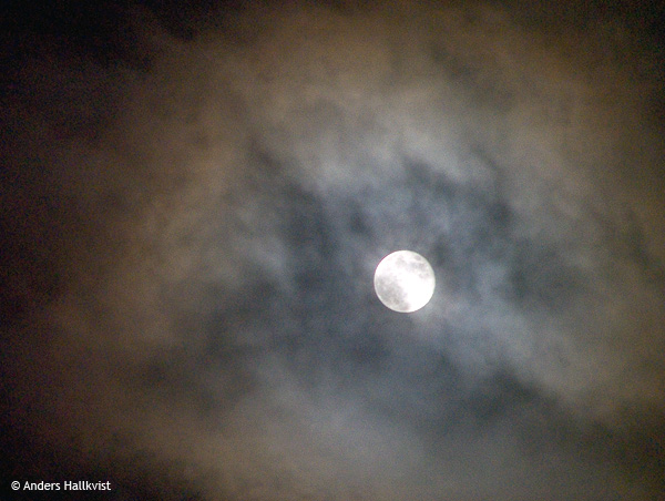 DSCF5672.jpg